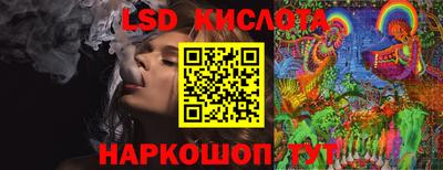 бошки Дмитров