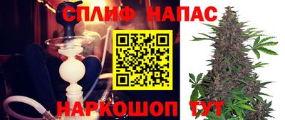 бошки Дмитров