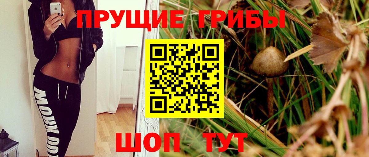 Галлюциногенные грибы Magic Shrooms  Вход с VPN  Топки 