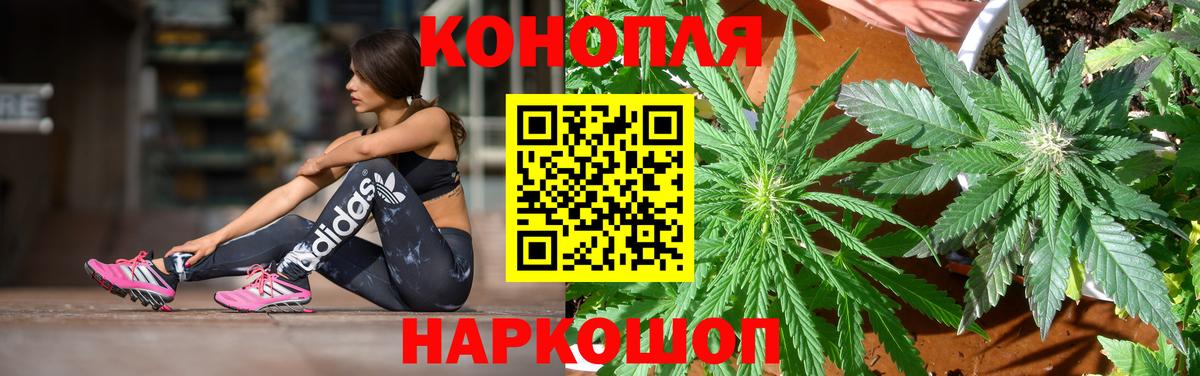 Топки  Шишки марихуана тримм  МАРИХУАНА Bruce Banner  Канабис индика  Каннабис гибрид  Вход с VPN 